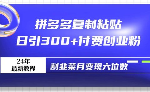 拼多多复制粘贴日引300+付费创业粉，割韭菜月变现六位数最新教程！