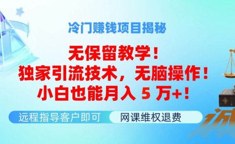 冷门赚钱项目无保留教学!独家引流技术,无脑操作!小白也能月入5万+!