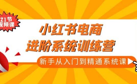 小红书电商进阶系统训练营:新手从入门到精通系统课(21节视频课)