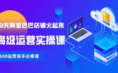 【90天阿里巴巴店铺火起来】高级运营实操课,1688运营高手必修课