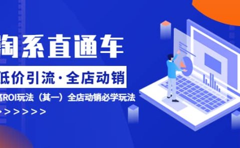 淘系直通车《低价·引流 全店·动销》超高ROI玩法(其一)全店动销必学玩法