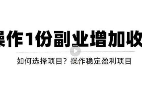 新手如何通过操作副业增加收入,从项目选择到玩法分享!【视频教程】