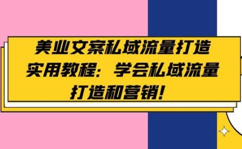 美业文案私域流量打造实用教程:学会私域流量打造和营销