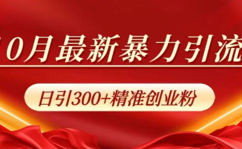 10月最新暴力引流,日引300+精准创业粉