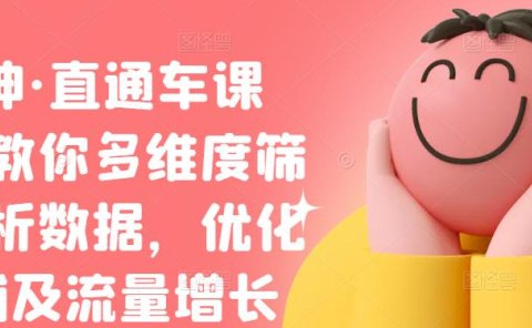 盗坤·直通车课程,教你多维度筛选分析数据,优化店铺及流量增长