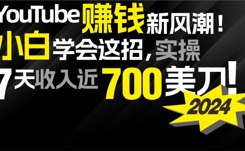 2024 YouTube赚钱新风潮！小白学会这招，7天收入近7百美金！