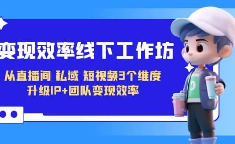 变现-效率线下工作坊,从直播间、私域、短视频3个维度 升级IP+团队变现效率