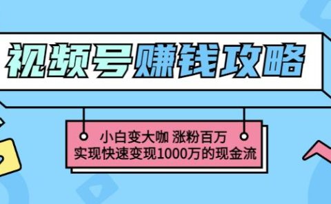 玩转微信视频号赚钱:小白变大咖涨粉百万实现快速变现1000万的现金流