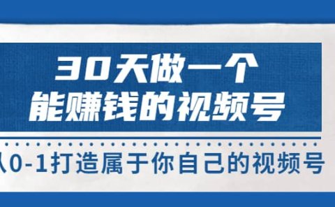30天做一个能赚钱的视频号,从0-1打造属于你自己的视频号 (14节-价值199)