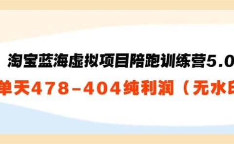 淘宝蓝海虚拟项目陪跑训练营5.0:单天478纯利润(无水印)