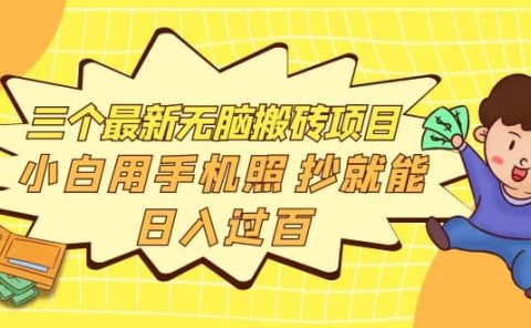 三个最新无脑搬砖项目,小白用手机照抄就能日入过百