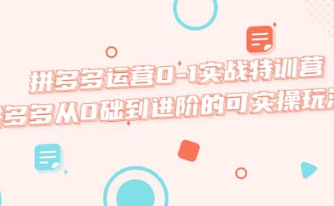 拼多多运营0-1实战特训营,拼多多从0础到进阶的可实操玩法
