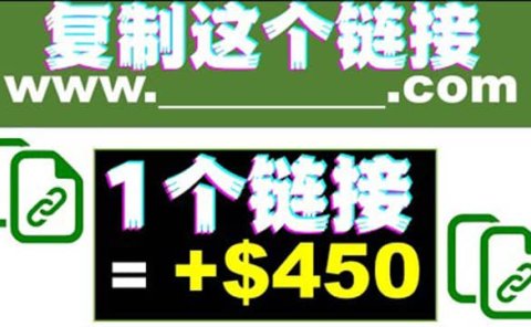 复制链接赚美元,一个链接可赚450+,利用链接点击即可赚钱的项目(视频教程)