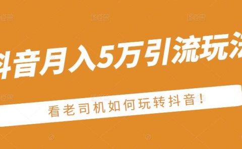老古董·抖音月入5万引流玩法,看看老司机如何玩转抖音(附赠:抖音另类引流思路)