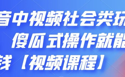 抖音中视频社会类玩法,傻瓜式操作就能赚钱【视频课程】