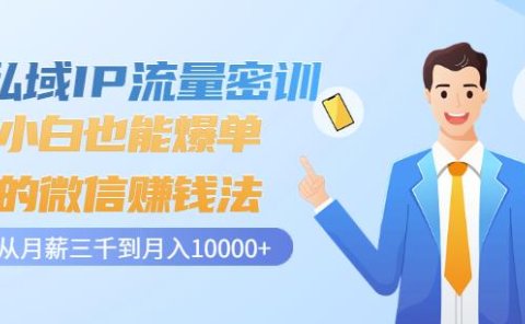 私域IP流量密训:小白也能爆单的微信赚钱法,从月薪三千到月入10000+