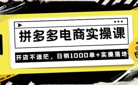 《拼多多电商实操课》开店不迷茫,日销1000单+实操落地(价值299元)
