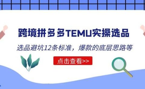 跨境拼多多TEMU实操选品运营方法,选品避坑12条标准,爆款的底层思路等