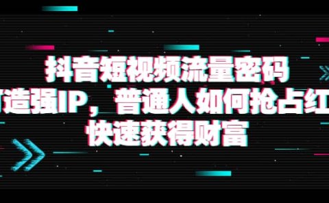 抖音短视频流量密码：打造强IP，普通人如何抢占红利，快速获得财富