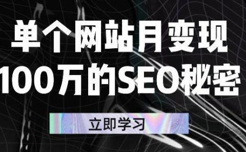 单个网站月变现100万的SEO秘密,百分百做出赚钱站点
