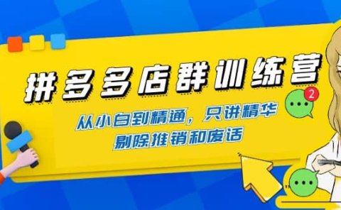 拼多多店群训练营:从小白到精通,只讲精华,剔除推销和废话