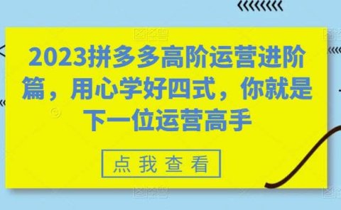 2023拼多多高阶运营进阶篇,用心学好四式,你就是下一位运营高手