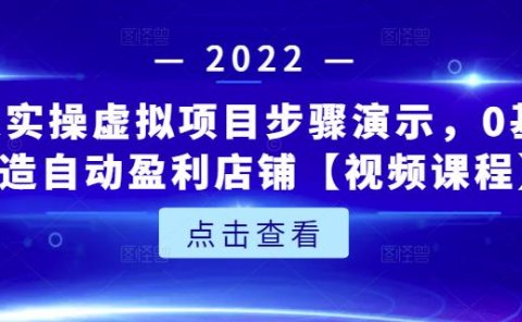 新人实操虚拟项目步骤演示,0基础打造自动盈利店铺【视频课程】