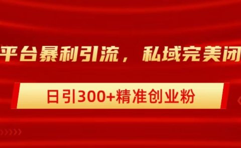 跨平台暴力引流,私域完美闭环,日引300+精准创业粉