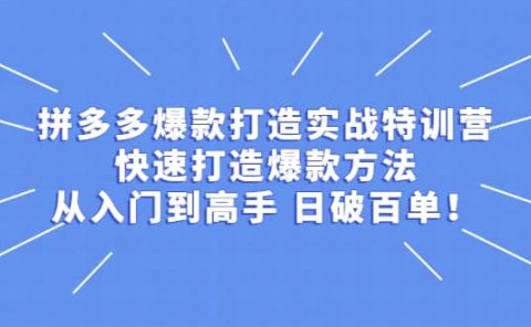 拼多多爆款打造实战特训营:快速打造爆款方法,从入门到高手 日破百单