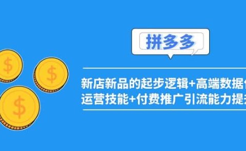 2022拼多多:新店新品的起步逻辑+高端数据化运营技能+付费推广引流能力提升
