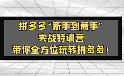 拼多多“新手到高手”实战特训营:带你全方位玩转拼多多