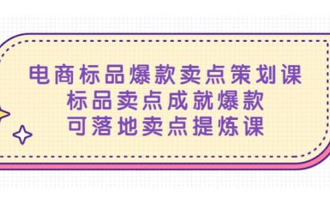 电商标品爆款卖点策划课,标品卖点成就爆款,可落地卖点提炼课