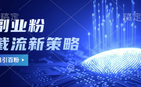 副业粉截流玩法与更新,不废号, 不封号。日引100+