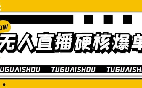 大飞无人直播硬核爆单技术,轻松玩转无人直播
