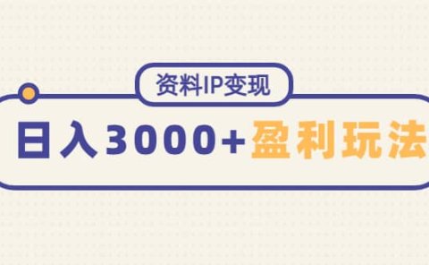 资料IP变现，持续性盈利玩法
