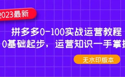 2023拼多多0-100实战运营教程,0基础起步,运营知识一手掌握(无水印)