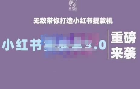 谢无敌·小红书实战营3.0,无敌带你打造小红书提款机 价值7999元