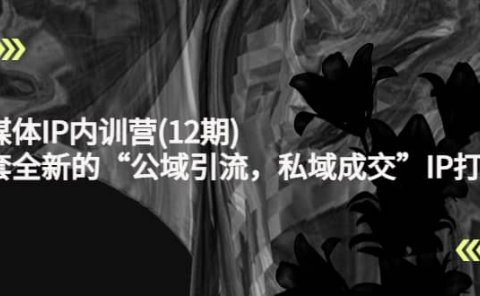 新媒体IP内训营(12期),一套全新的“公域引流,私域成交”IP打法,直接带走