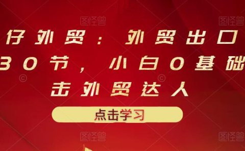 业仔外贸:外贸出口详解30节,小白0基础进击外贸达人 价值666元