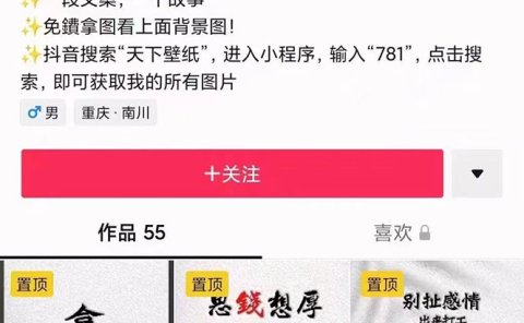 国潮壁纸变现项目,新手可操作日赚200+【素材+软件+教程】