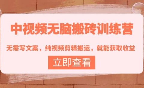中视频无脑搬砖训练营:无需写文案,纯视频剪辑搬运,就能获取收益