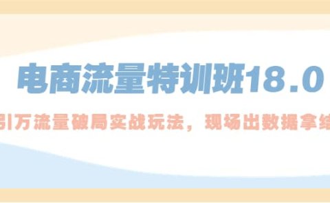 电商流量特训班18.0,直引万流量破局实操玩法,现场出数据拿结果