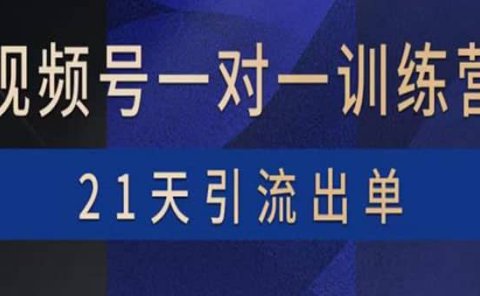 视频号训练营：带货，涨粉，直播，游戏，四大变现新方向，21天引流出单