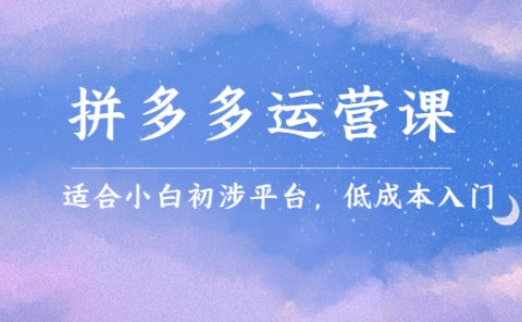 拼多多运营课,适合小白初涉平台,低成本入门