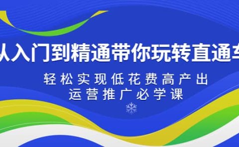 从入门到精通带你玩转直通车:轻松实现低花费高产出,35节运营推广必学课