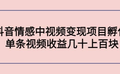 抖音情感中视频变现项目孵化