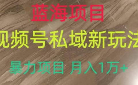 蓝海项目,视频号私域新玩法,暴力项目月入1万+【揭秘】