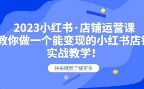 2023小红书·店铺运营课,教你做一个能变现的小红书店铺,20节-实战教学