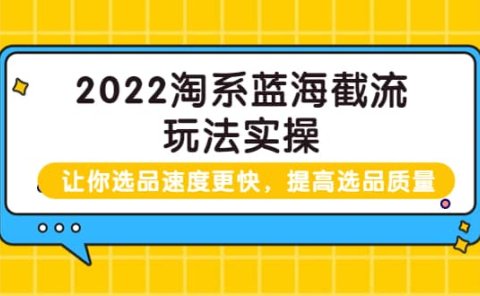 2022淘系蓝海截流玩法实操:让你选品速度更快,提高选品质量(价值599)