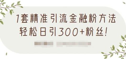1套精准引流金融粉方法，轻松日引300+粉丝【视频课程】